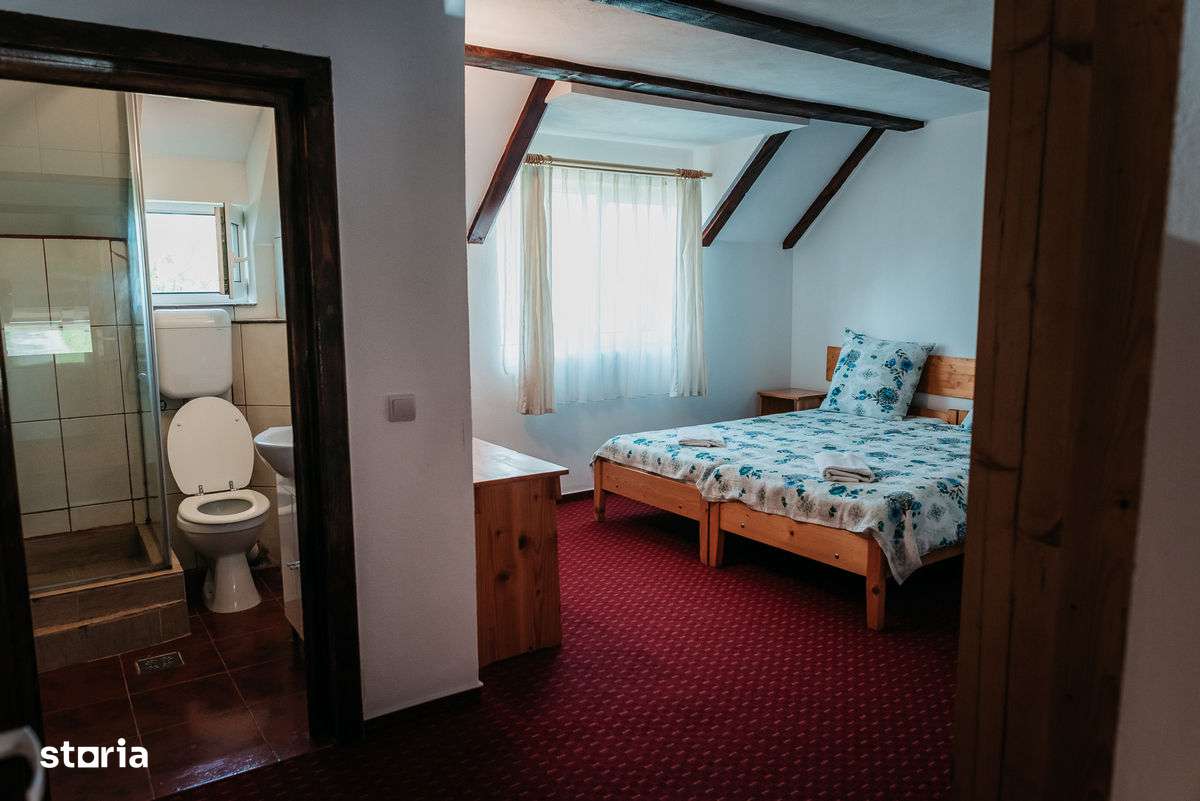 Proprietate deosebita,la cheie, cascada, lac de pesti in curte,C Carta-14