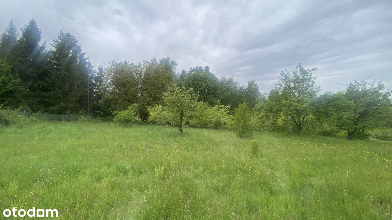 Woźniki. Malownicza działka dla dewelopera lub pod willę. - Pełny obrazek: 4/5