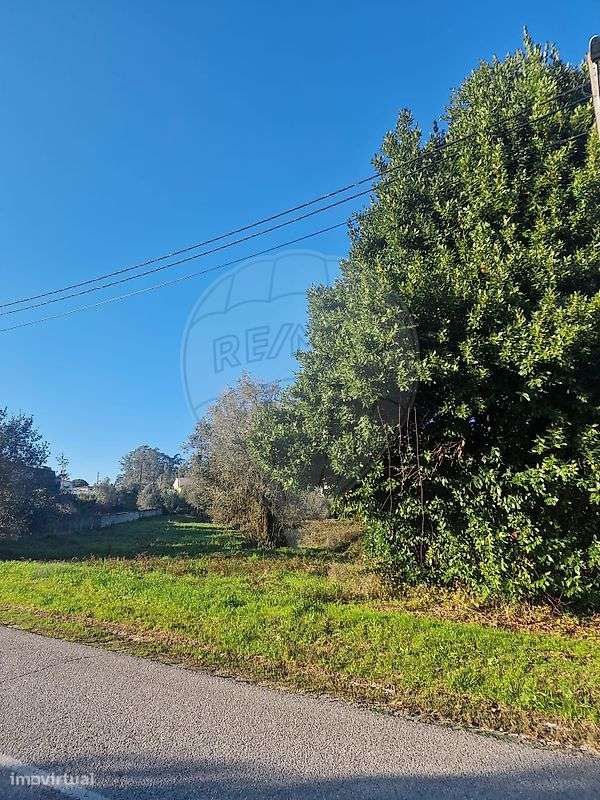 Terreno  para venda - Grande imagem: 4/5