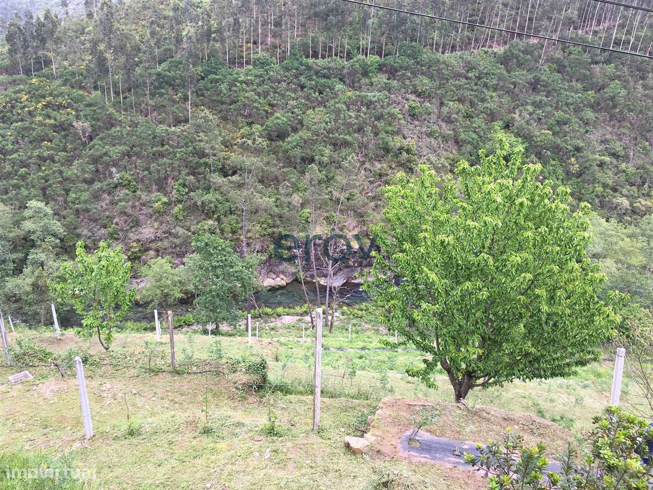 Quinta em Arouca - Moldes - Grande imagem: 3/10