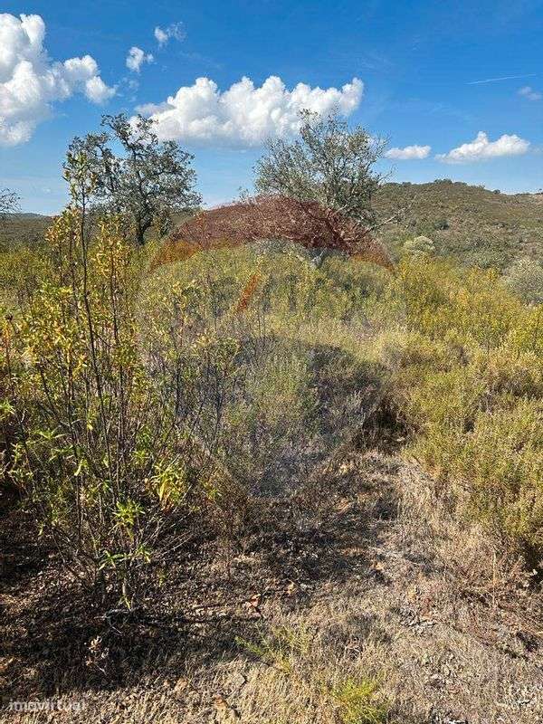 Terreno  para venda - Grande imagem: 5/9