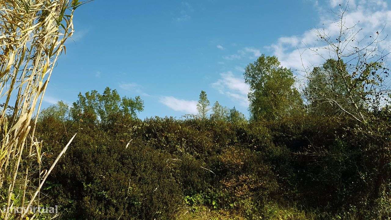 Quinta na Bairrada-9