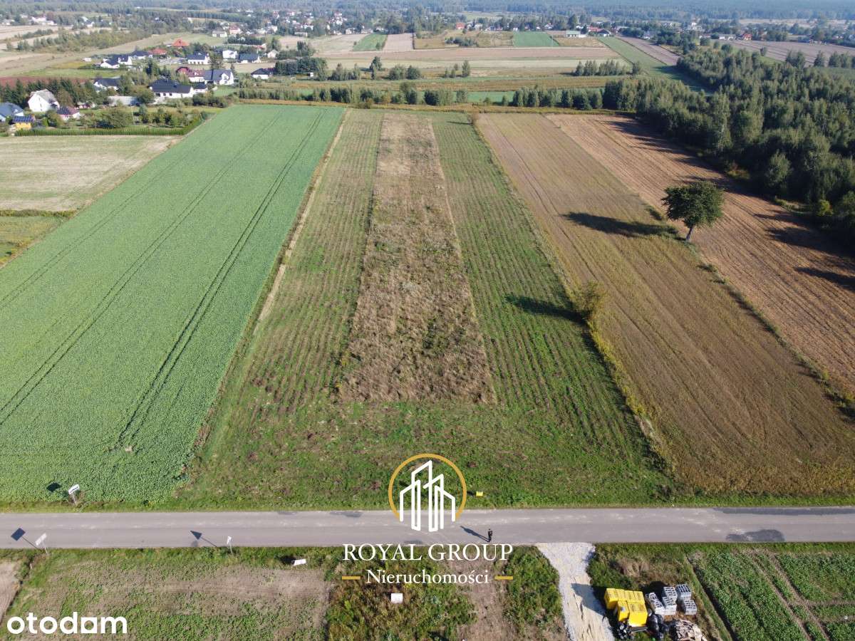 Działka budowlana 10ar Rudka Kozłowiecka - Pełny obrazek: 4/9