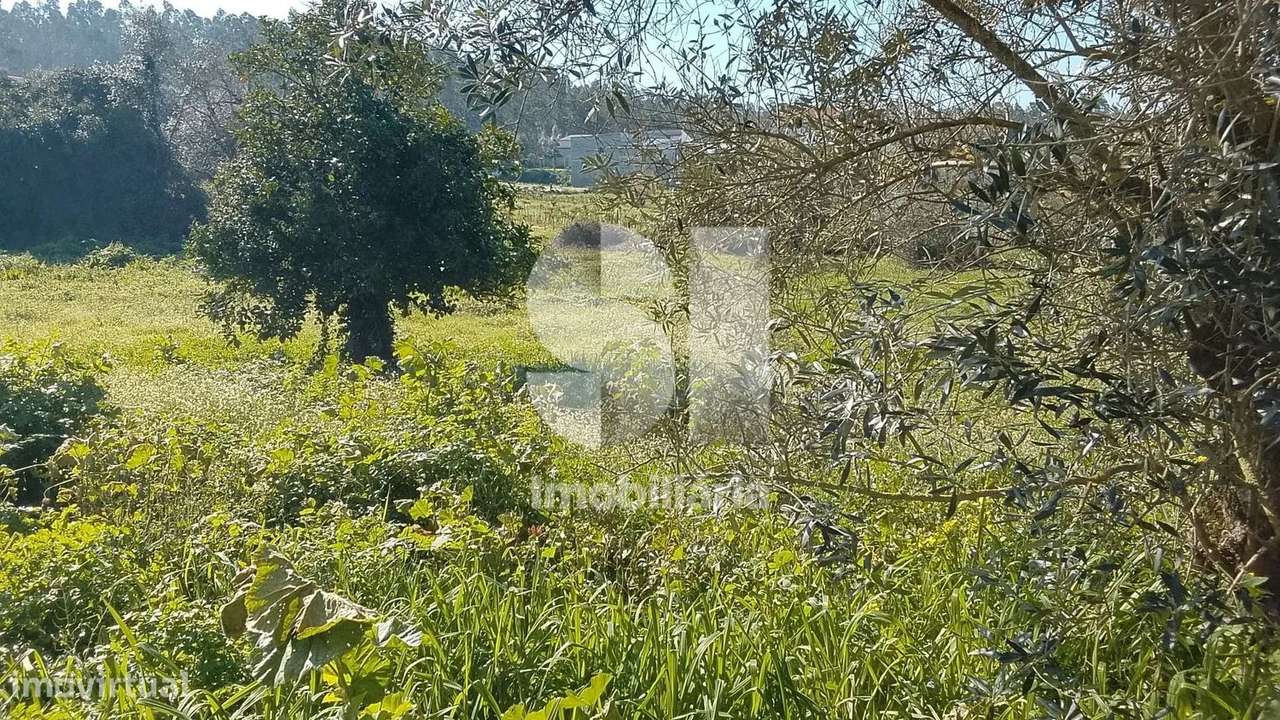 Terreno Urbano para Construção - Grande imagem: 2/3