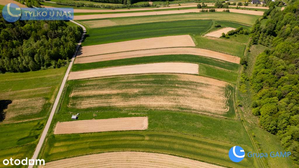 1,04ha w ciszy Wiśnicko-Lipnickiego P.Kraj - Pełny obrazek: 5/12