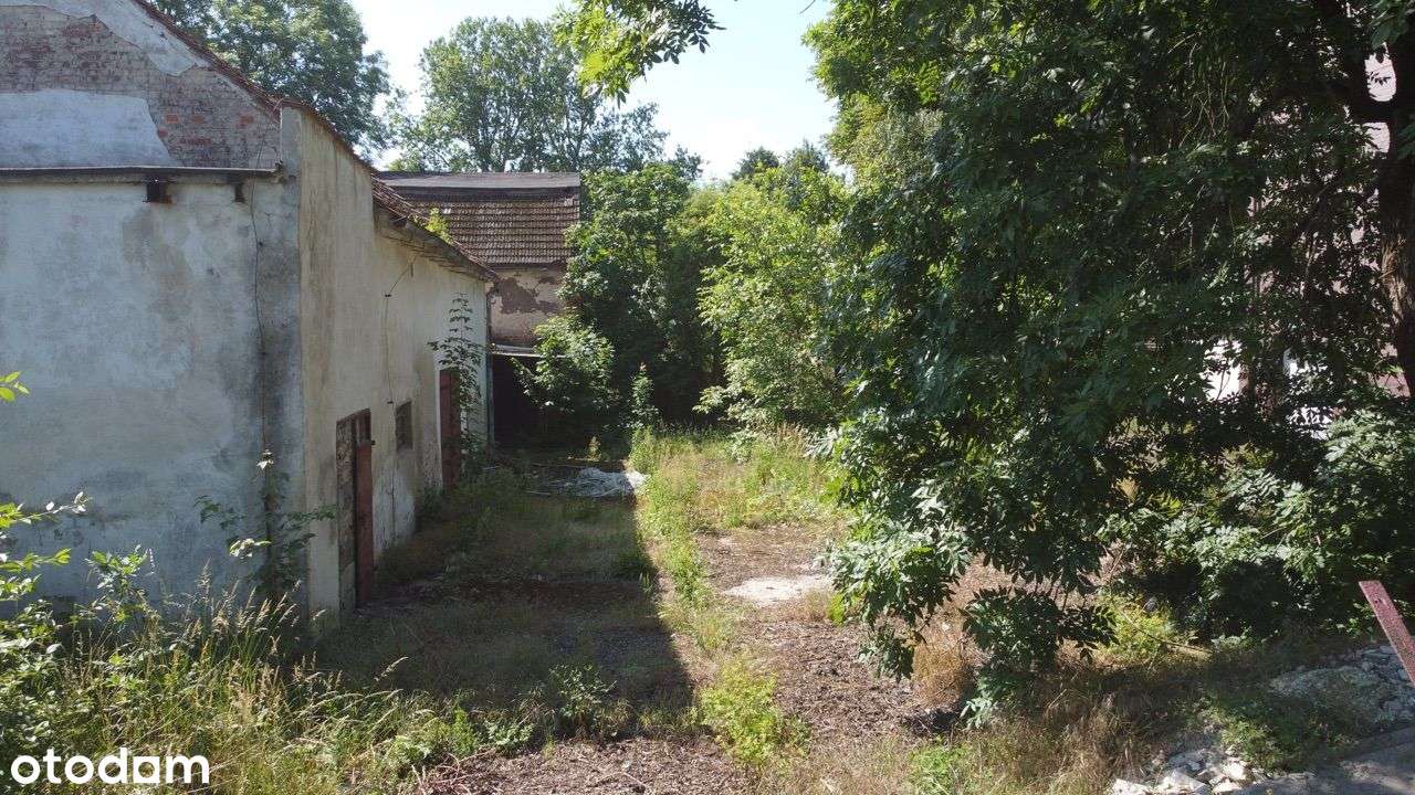 Nieruchomość z potencjałem - zabudowania/działka-12
