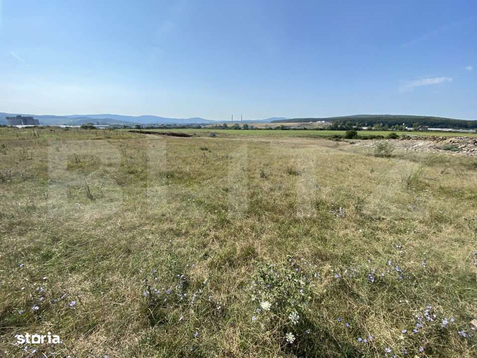 Teren extravilan Criseni, 3800 mp - Imagine principală: 3/5