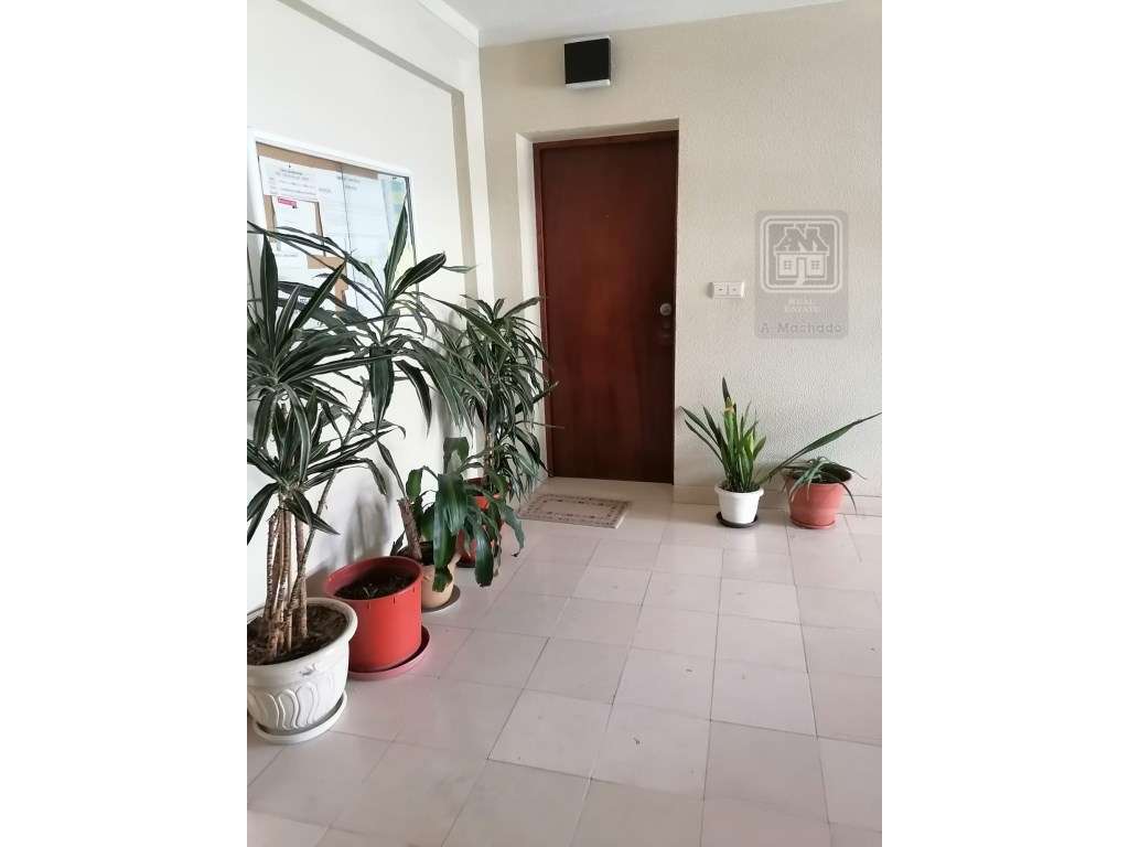 APARTAMENTO T1 MOBILADO para ARRENDAR - Ponta Delgada (São Sebastiã... - Grande imagem: 5/24