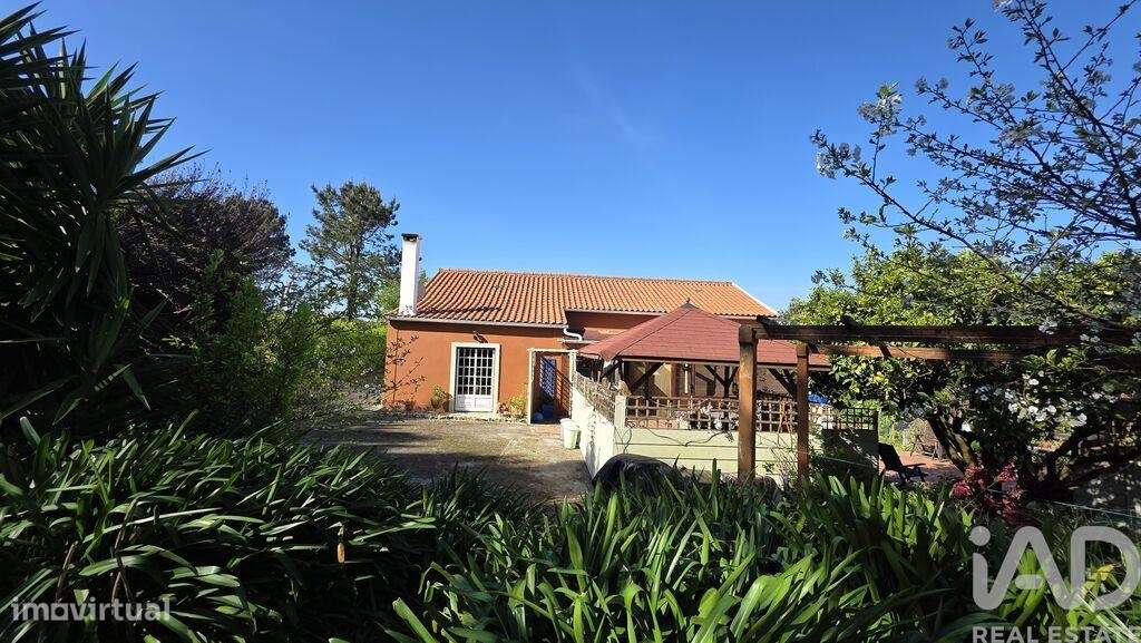 Casa de Campo T5 em Usseira de 150 m2 - Grande imagem: 4/40