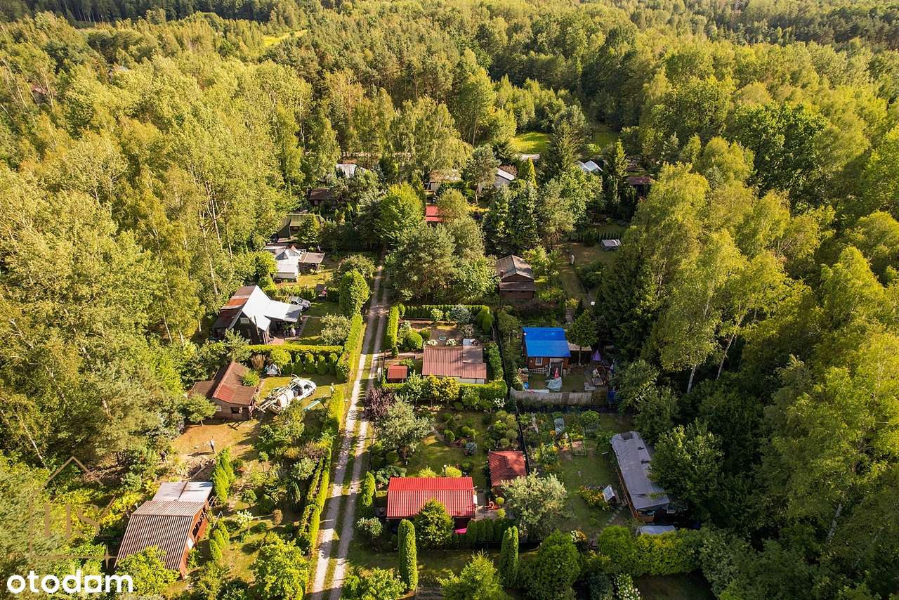 Urokliwa działka ROD "SOSENKA"  – idealne miejsce na rodzinne wypady!-15