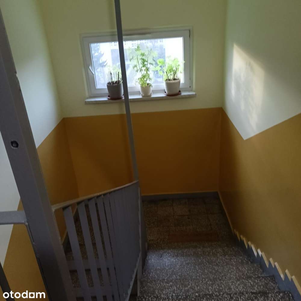 Centralne, umeblowane, z widokiem, balkonem i miejscem postojowym 50m² - Pełny obrazek: 4/6