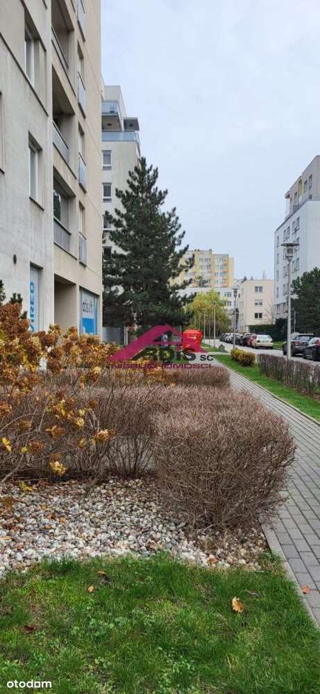 Marina Mokotów, parter, witryna.-5