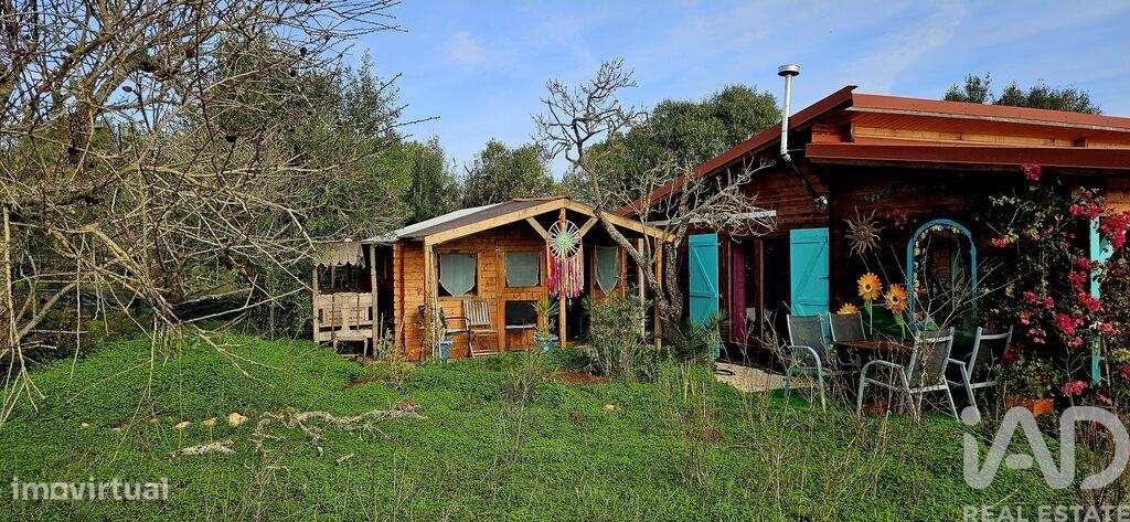 Terreno Agrícola em Barão de São Miguel - Grande imagem: 5/29