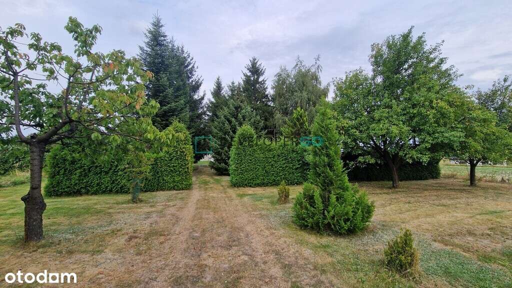 Dom - kostka polska na pięknej działce w Klikawie - Pełny obrazek: 5/5