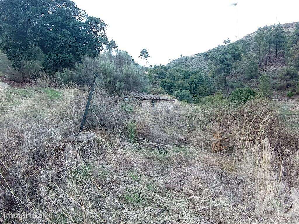 Terreno Agrícola em Sendim-9