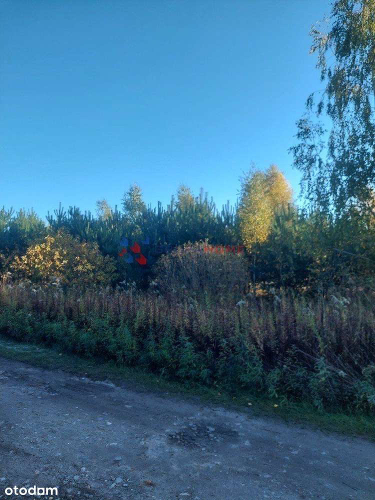 Działka budowlana Władysławów, gmina Lesznowola - Pełny obrazek: 4/4