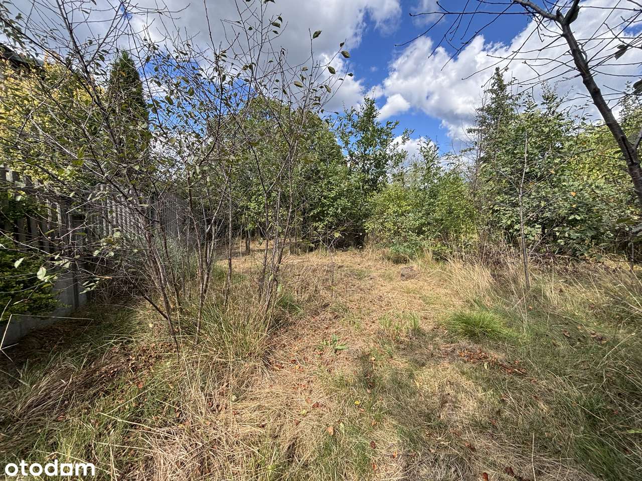 Dom z potencjałem w dobrej lokalizacji-8