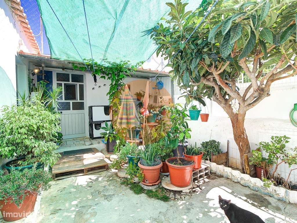 Moradia Térrea de Traça Típica a 50m da Ria Formosa em Cabanas de T... - Grande imagem: 5/23