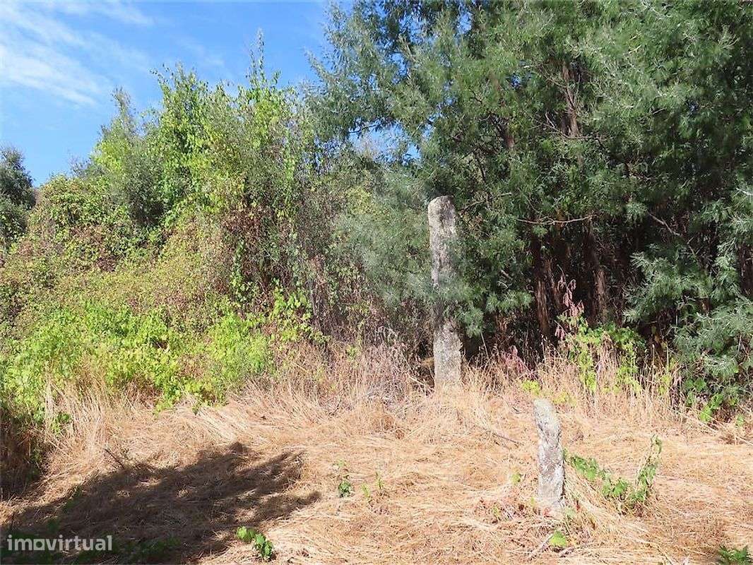 Quinta  para venda - Grande imagem: 5/16