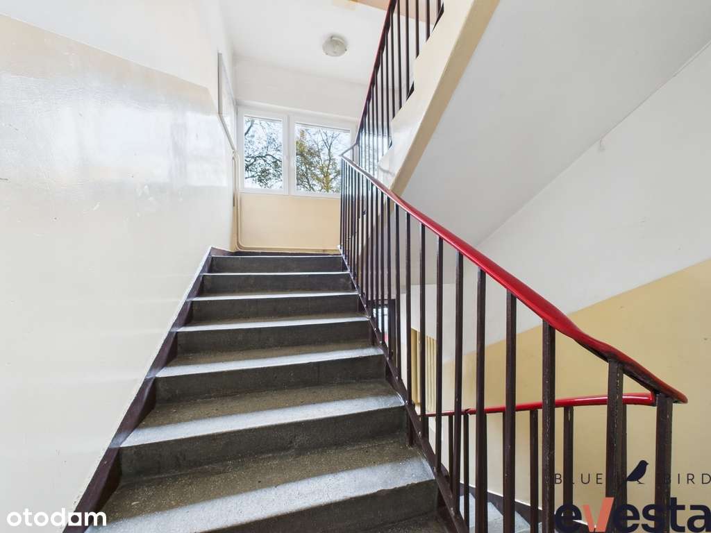 3 pok. / rozkład / Nowowiejska / media miejskie /-10