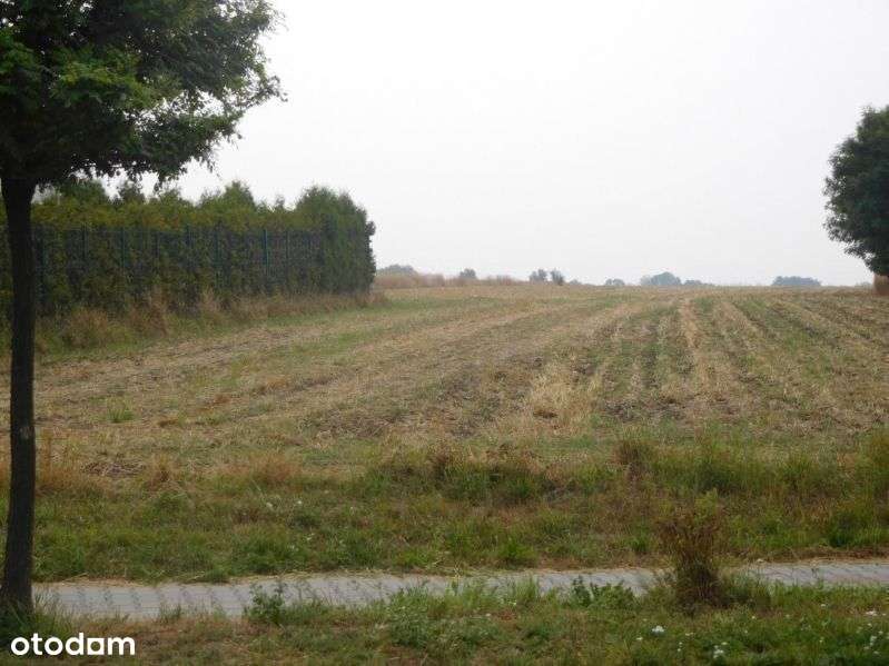 Daszyńskiego !! - Pełny obrazek: 3/3