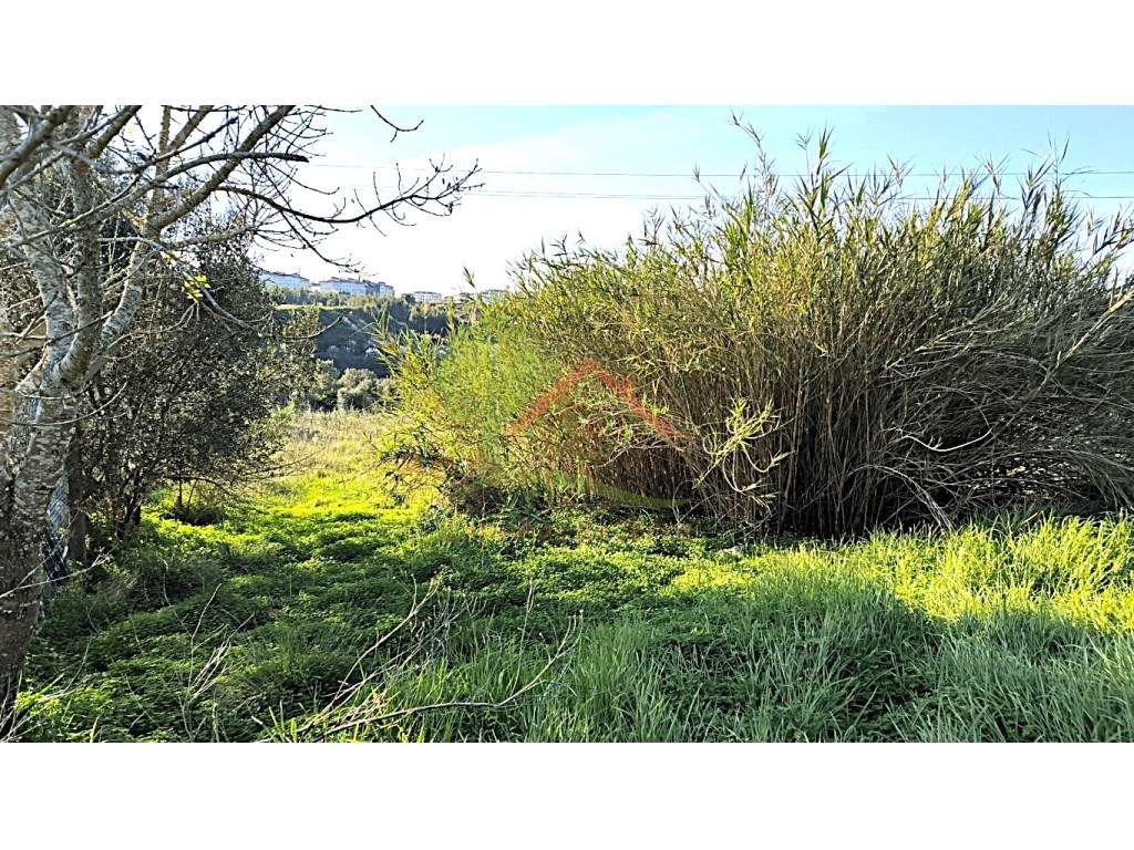 Terreno urbano para construção de 4 moradias com PIP-12