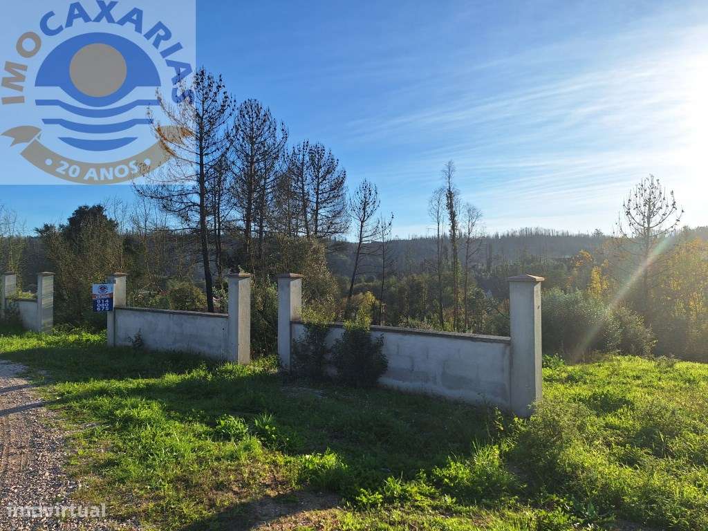 Terreno para construção-Mata - Grande imagem: 3/7