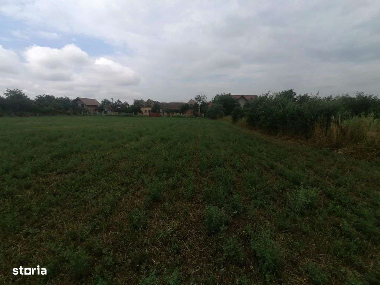 Bucovat - Teren intravilan -loc de casa - 1205 mp -Front 18m - Imagine principală: 2/4