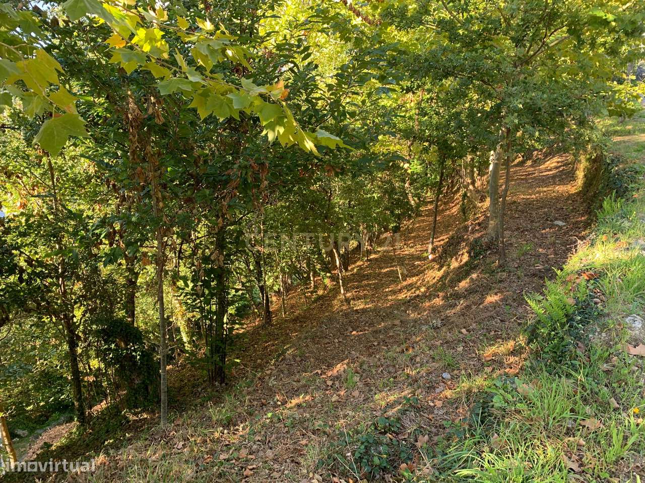 Terreno com 2.240m2 ² com vista deslumbrantes para o rio no Gerês - Grande imagem: 4/19