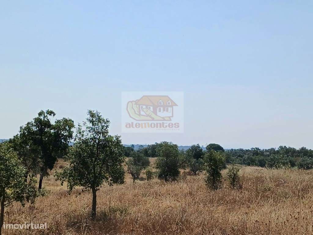 Monte Alentejano com várias ruínas para recuperar - 20 minutos Lago...-7