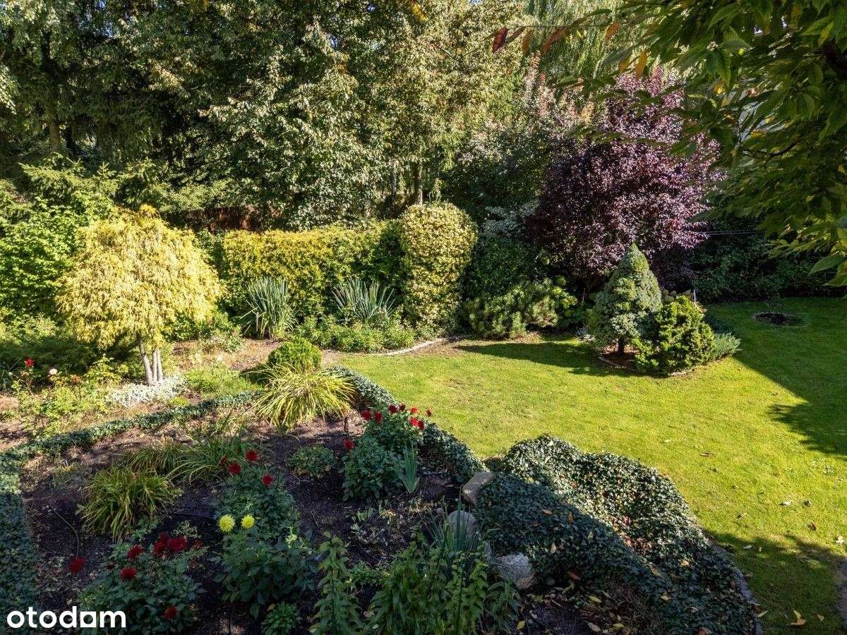 Zieliniec-Dom w zielonej oazie Poznania-4