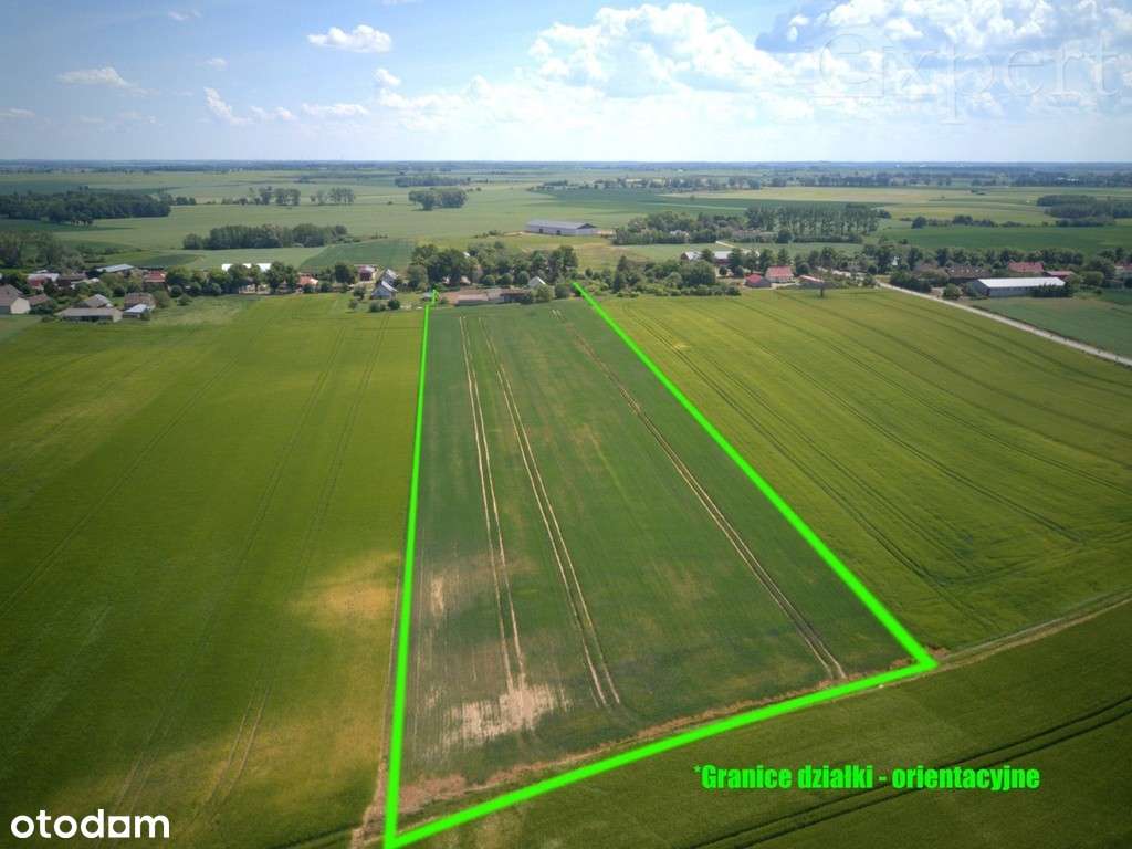 Lucin - dom - gospodarstwo rolne 32.500 m2 - Pełny obrazek: 5/20