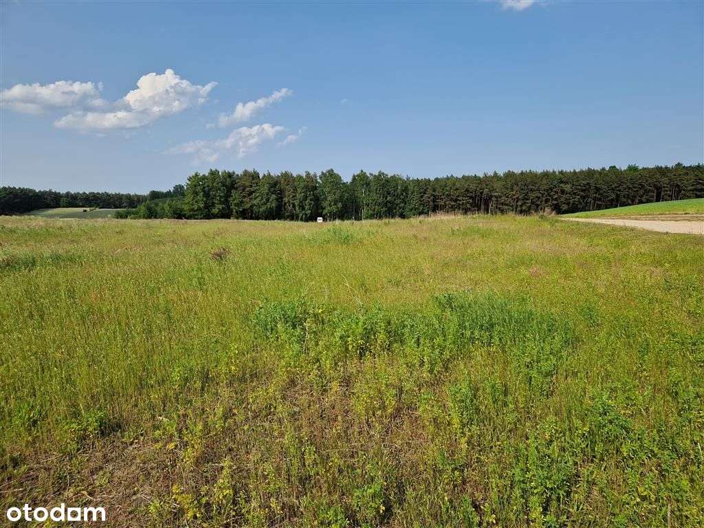 Mieszkania | Restauracja | Przychodnia | Sklep-6