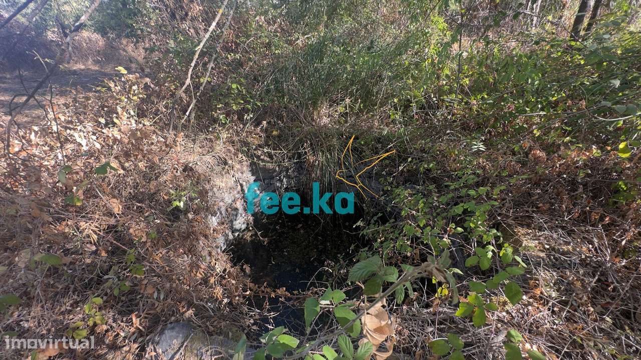 Terreno em Ladoeiro-21