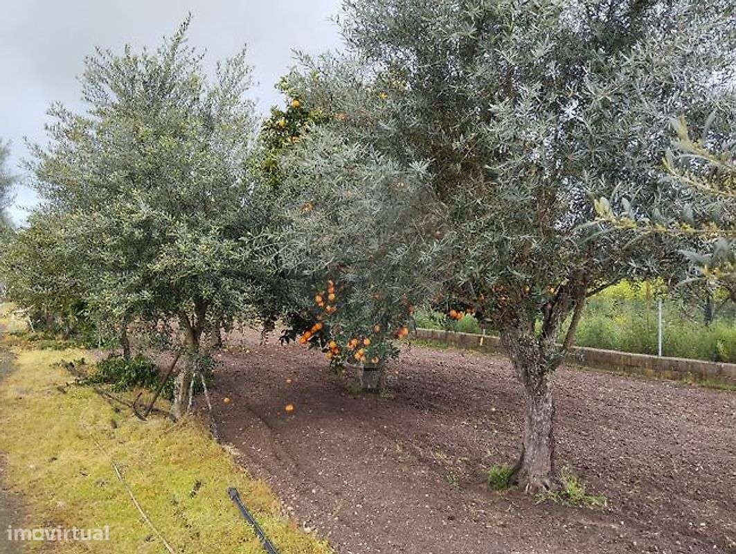 Investimentos  para venda - Grande imagem: 5/9