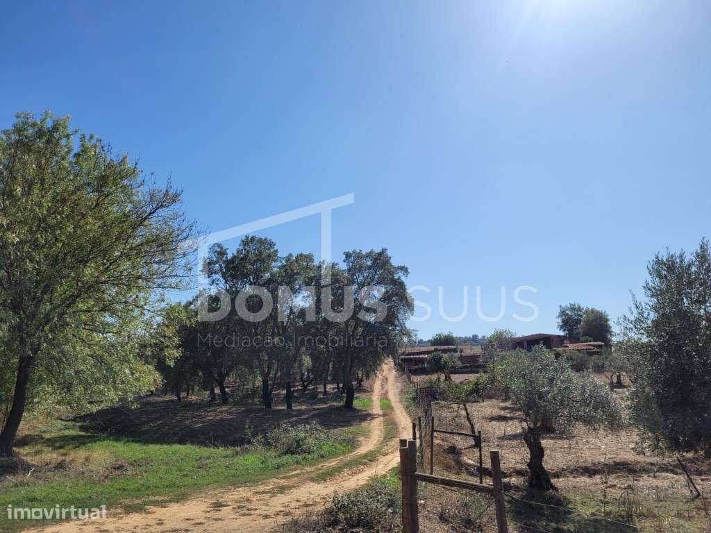 Terreno rústico com 23 Hectares - Grande imagem: 2/22