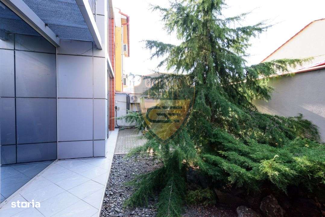 Spatiul comercial, Stadion, 225 mp utili cu curte si balcoane, 5 bai, - Imagine principală: 4/19