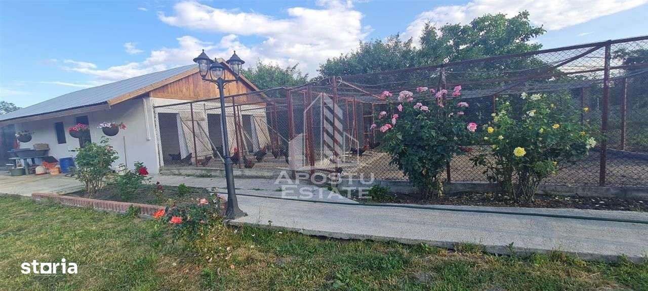 Casa cu teren de 2000 mp,  Timisoara - Imagine principală: 5/6