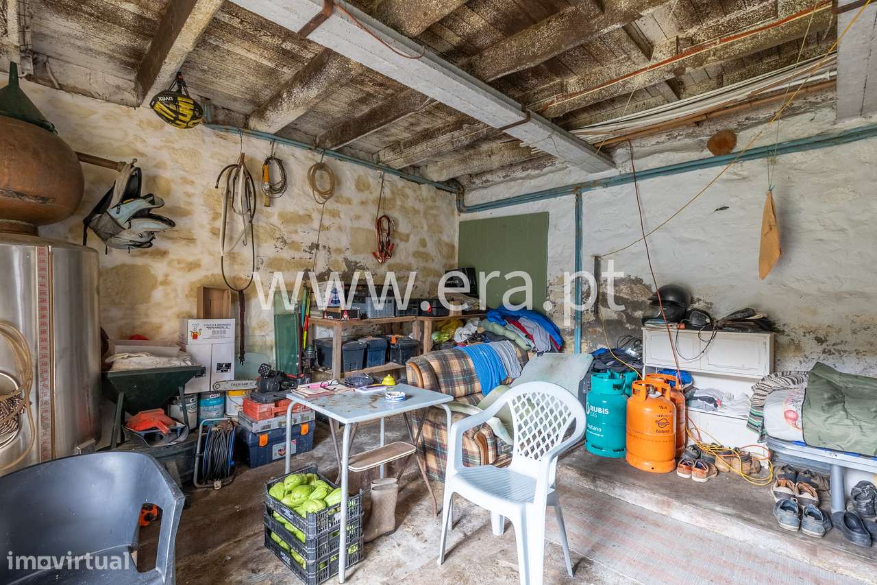 Onde a Visão Encontra a Natureza-23