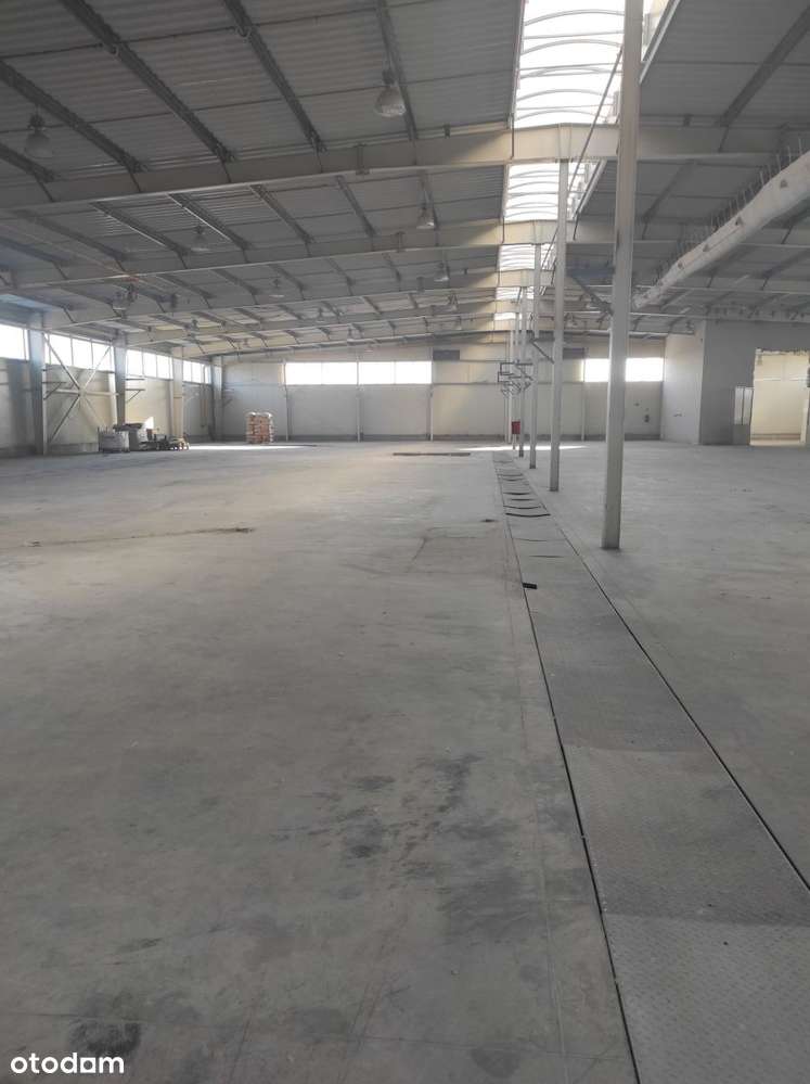 Hala magazynowo-produkcyjna-0