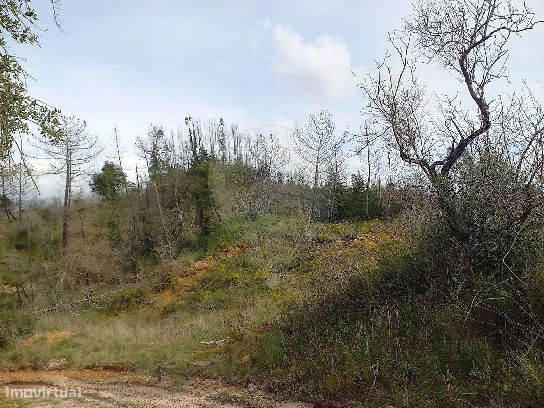 Terreno  para venda - Grande imagem: 5/12