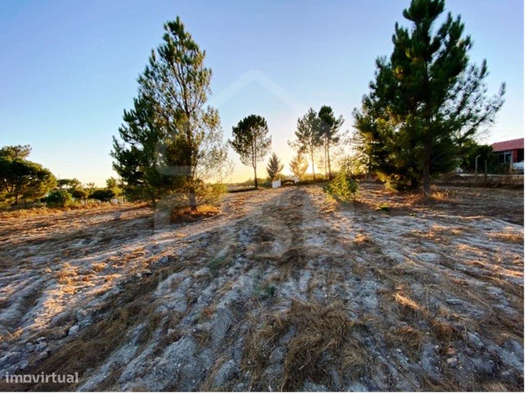 Terreno Rústico - Grande imagem: 4/7