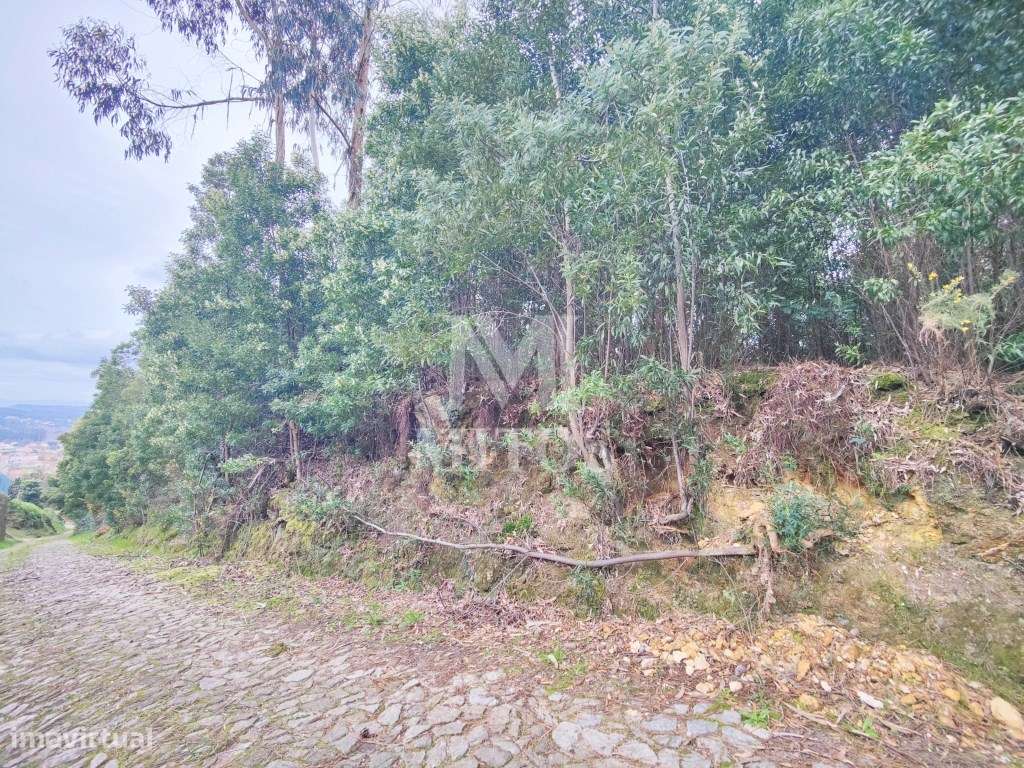 Terreno destinado a construção para venda em Venade - Caminha - Grande imagem: 2/6