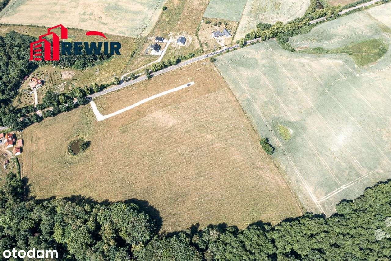 Działki budowlane w Sierpinie - Pełny obrazek: 5/9