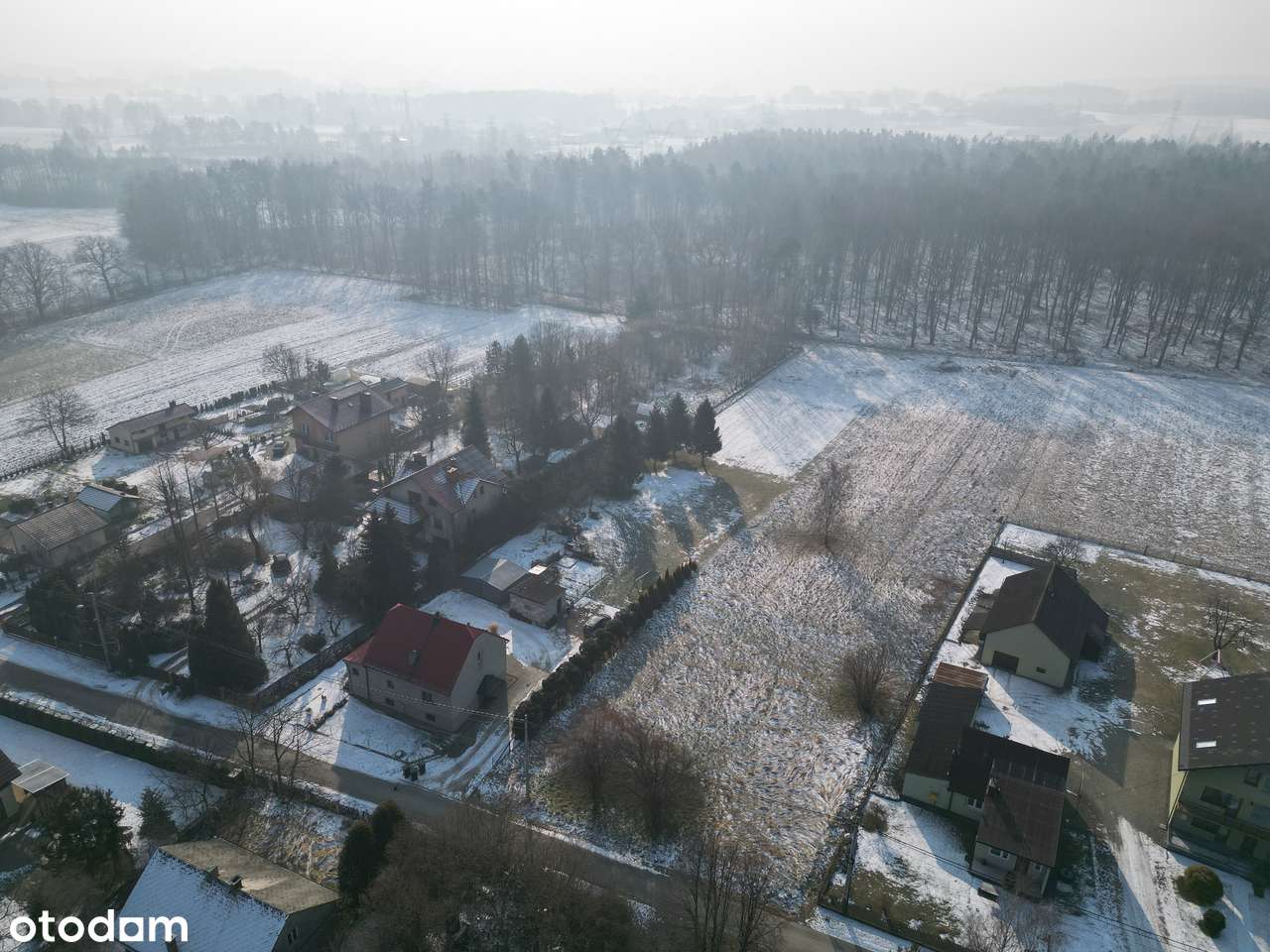 Działka pod lasem z warunkami zabudowy nawet na 2 domy !-3