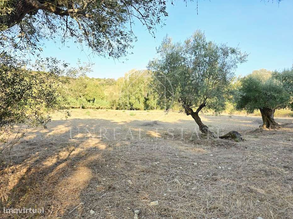 Terreno Misto  Venda em Torres Novas (São Pedro), Lapas e Ribeira Bran-6