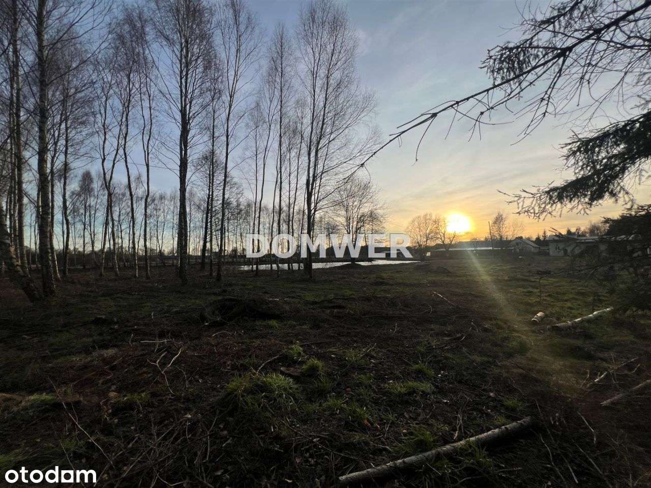 Działka ze stawami w Górkach Noteckich - Pełny obrazek: 4/5