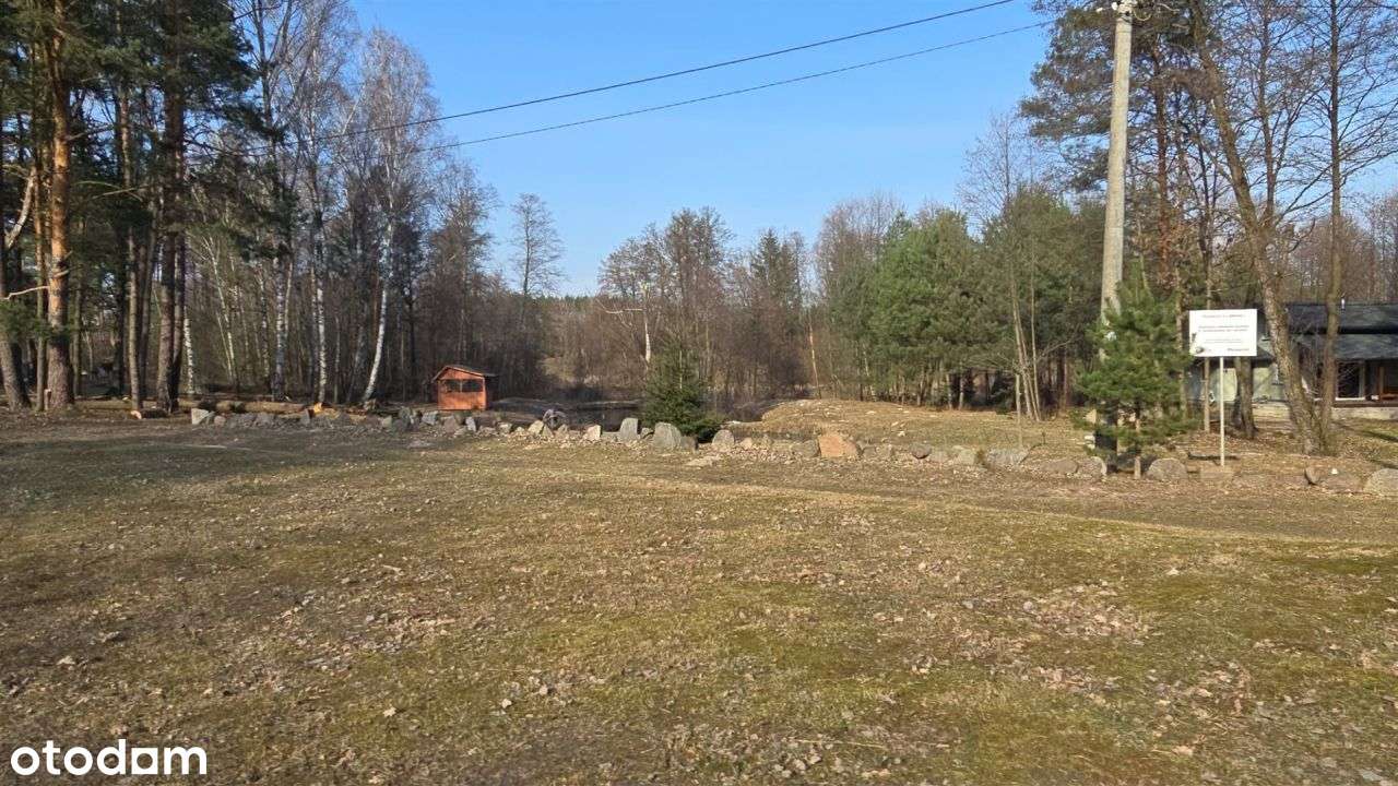 Urokliwa okolica czysty leśny klimat blisko miasta-13