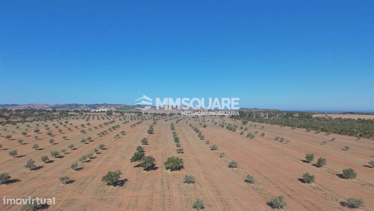 Herdade  Venda em Garvão e Santa Luzia,Ourique-12