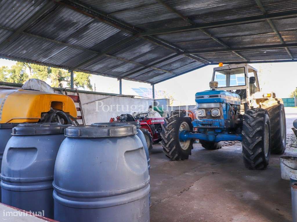 Unidade Industrial de Produção de Azeite & Elevado Potencial Produtivo-16